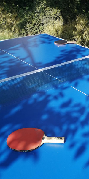 Jeux Pingpong